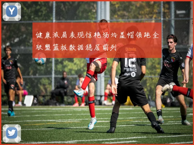健康浓眉表现惊艳场均盖帽领跑全联盟篮板数据稳居前列