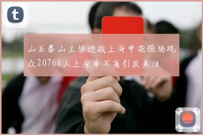 山东泰山主场迎战上海申花现场观众20766人上座率不高引发关注