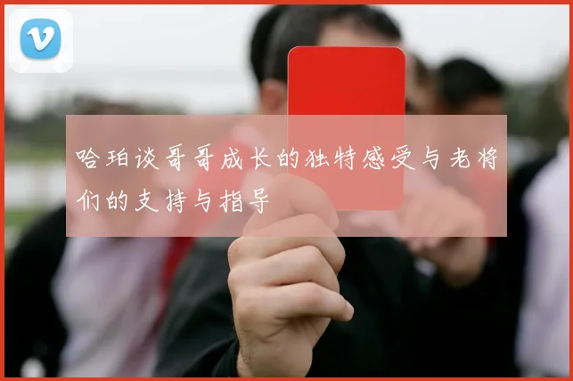 哈珀谈哥哥成长的独特感受与老将们的支持与指导